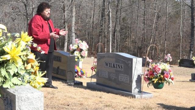 Little David Wilkins