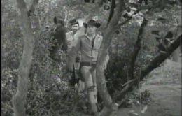 Wagon Train -  The Countess Baranof Story