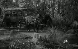 Wagon Train Classic TV
