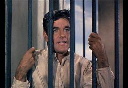 Bonanza - The Fugitive